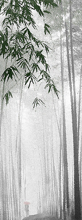 Bamboo Forest