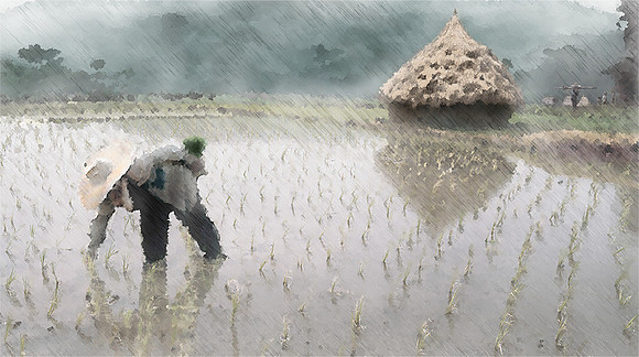 Monsoon